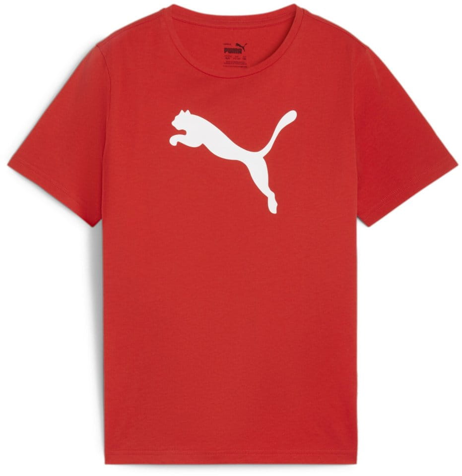 T-paita Puma teamRISE Logo Jersey Cotton Jr